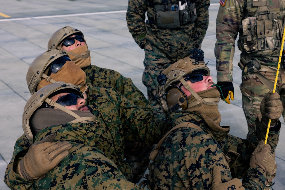 U.S. service members practice joint-service casualty evacuation drills during Mountain Medicine Course 1-26