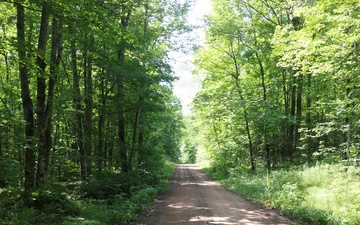 UTV Riders Explore Pioneer Trail in the Ottawa National Forest