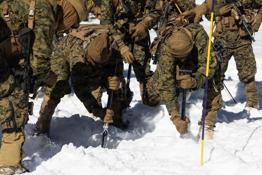 U.S. Marines with 2nd Bn., 4th Marines conduct avalanche recovery drills during MTX 1-26