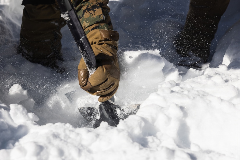U.S. Marines with 2nd Bn., 4th Marines conduct avalanche recovery drills during MTX 1-26