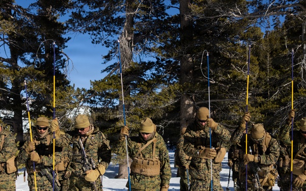 U.S. Marines with 2nd Bn., 4th Marines conduct avalanche recovery drills during MTX 1-26