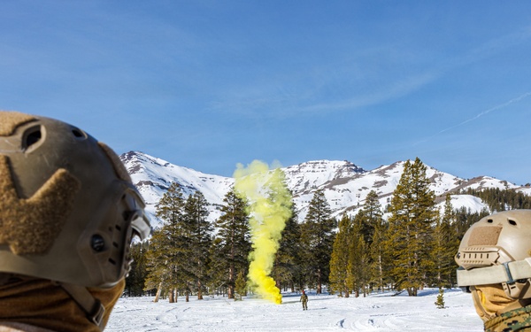 Canadian, U.S. armed forces conduct joint multilateral mass casualty drill