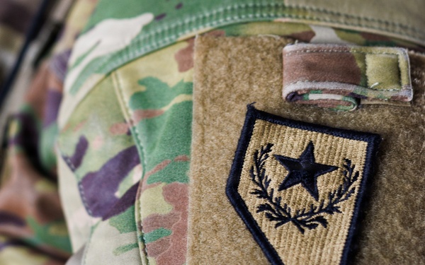 Canadian, U.S. armed forces conduct joint multilateral mass casualty drill