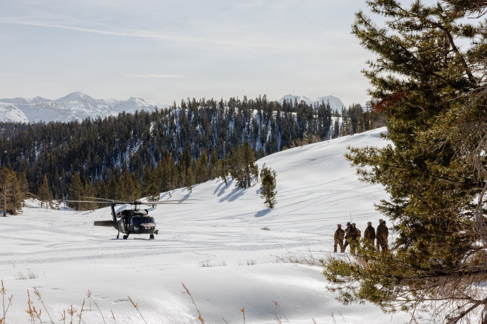 Canadian, U.S. armed forces conduct joint multilateral mass casualty drill