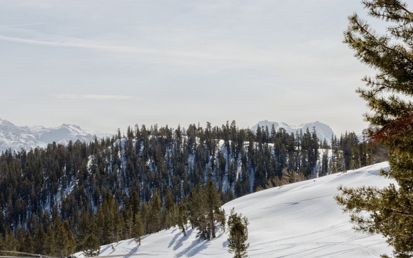Canadian, U.S. armed forces conduct joint multilateral mass casualty drill