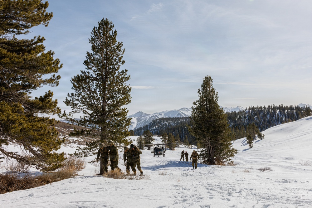 Canadian, U.S. armed forces conduct joint multilateral mass casualty drill