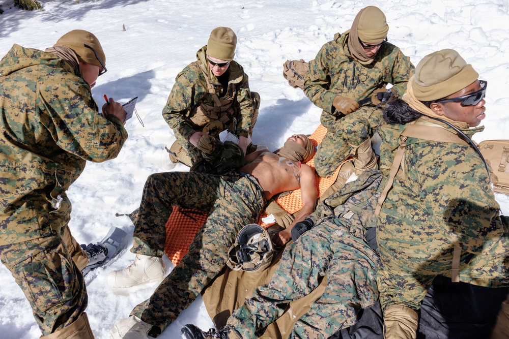 Canadian, U.S. armed forces conduct joint multilateral mass casualty drill
