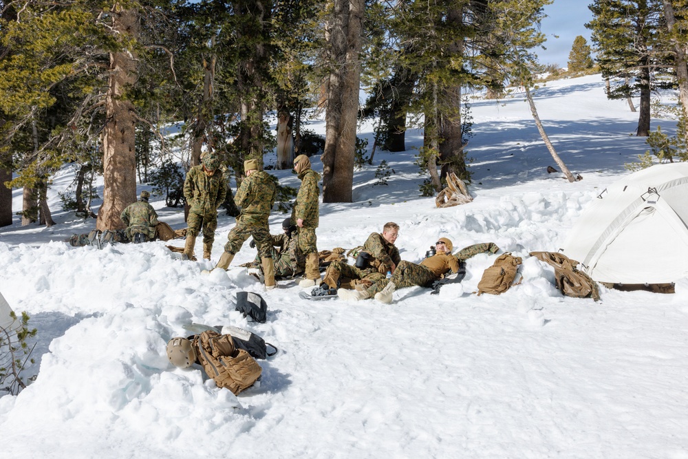 Canadian, U.S. armed forces conduct joint multilateral mass casualty drill