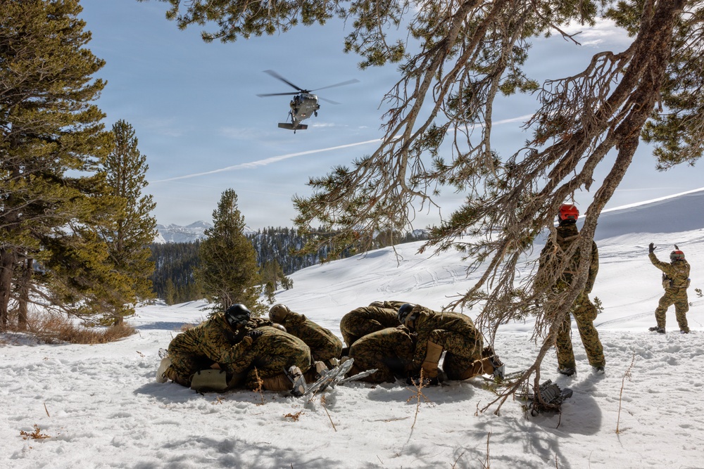 Canadian, U.S. armed forces conduct joint multilateral mass casualty drill