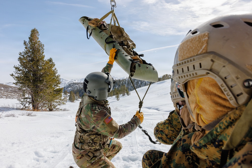 Canadian, U.S. armed forces conduct joint multilateral mass casualty drill