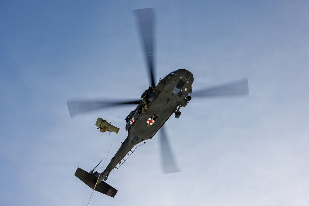 Canadian, U.S. armed forces conduct joint multilateral mass casualty drill