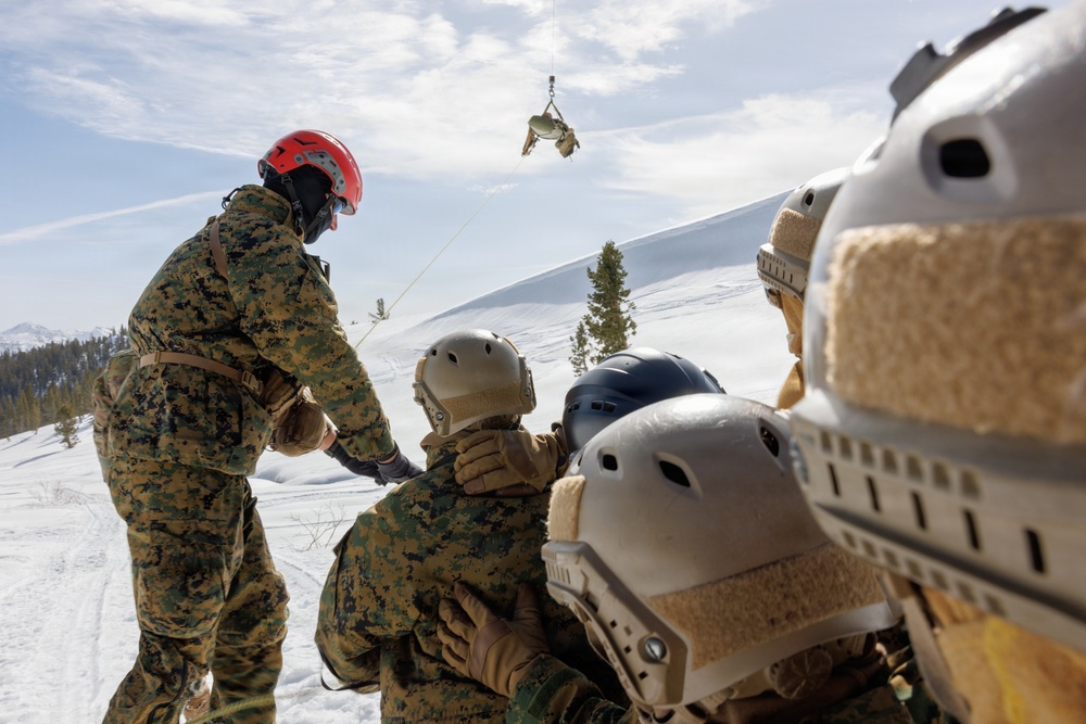Canadian, U.S. armed forces conduct joint multilateral mass casualty drill