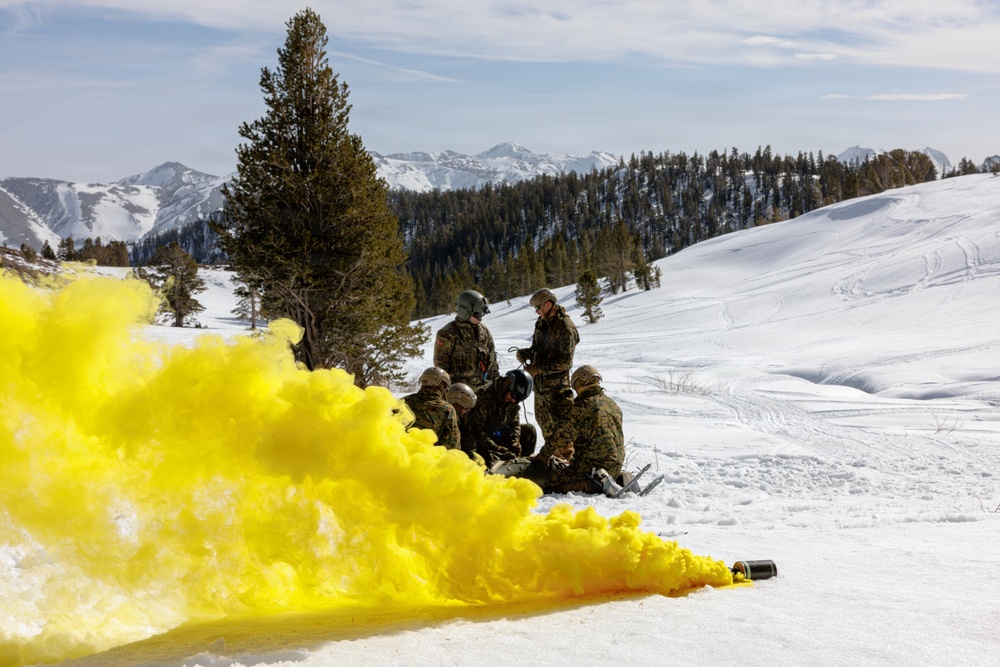 Canadian, U.S. armed forces conduct joint multilateral mass casualty drill