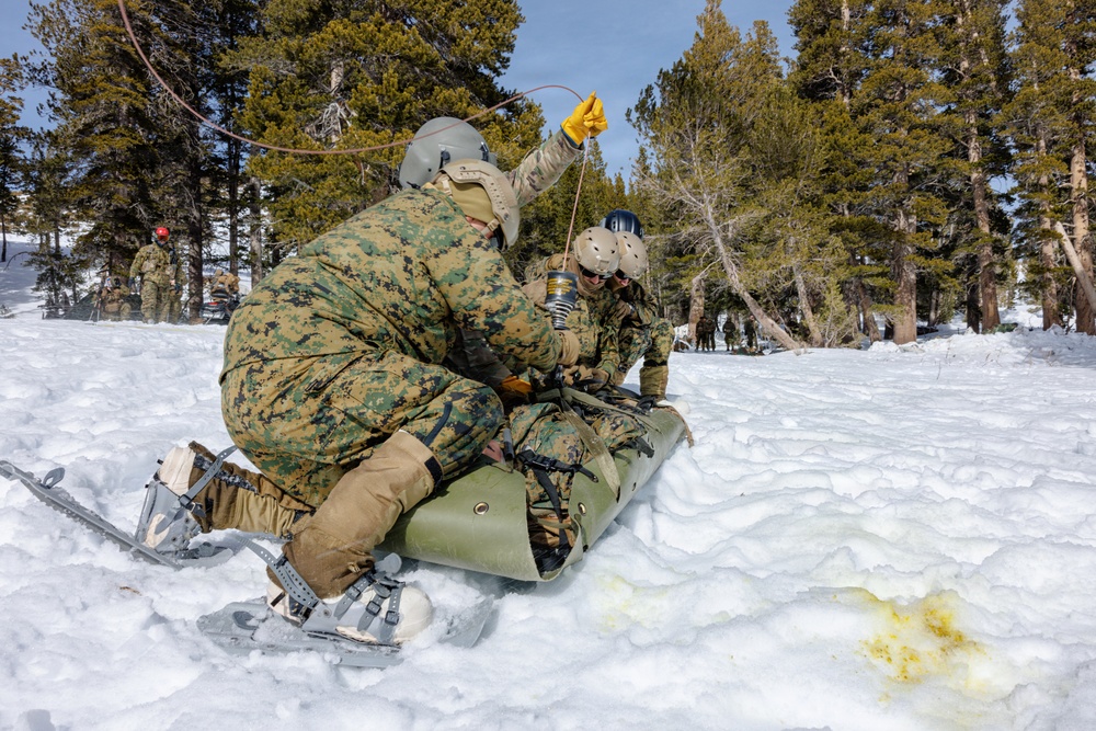 Canadian, U.S. armed forces conduct joint multilateral mass casualty drill