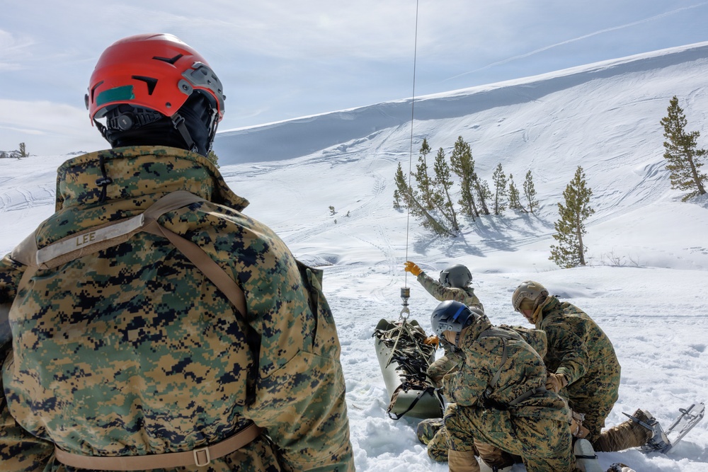 Canadian, U.S. armed forces conduct joint multilateral mass casualty drill