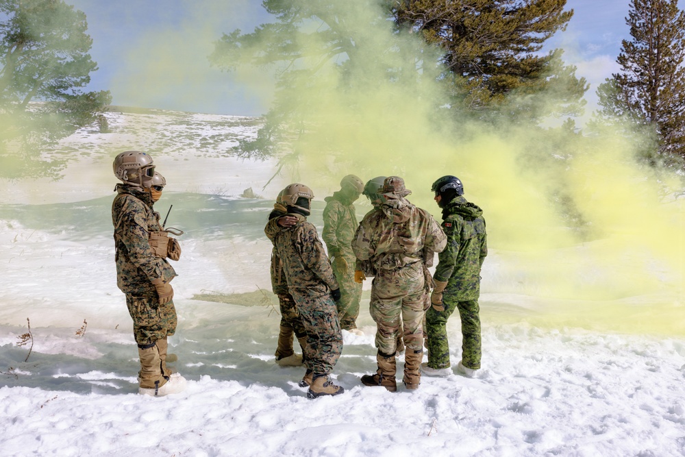 Canadian, U.S. armed forces conduct joint multilateral mass casualty drill