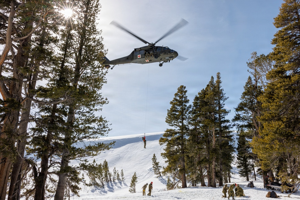 Canadian, U.S. armed forces conduct joint multilateral mass casualty drill