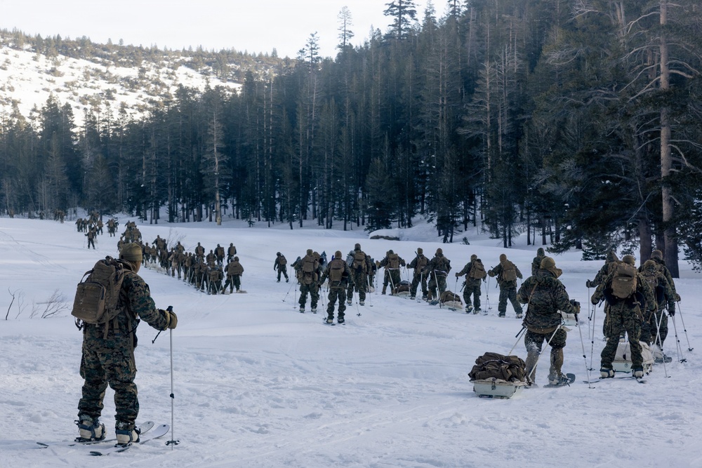 U.S. Marines with 2nd Bn., 4th Marines conduct casualty evacuations during MTX 1-26