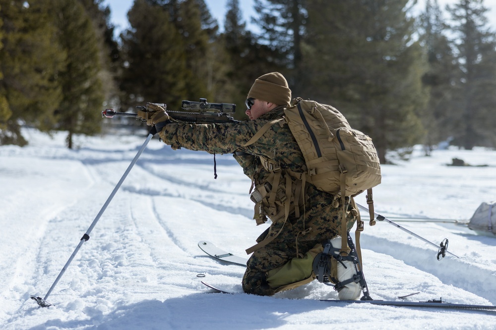 U.S. Marines with 2nd Bn., 4th Marines conduct casualty evacuations during MTX 1-26
