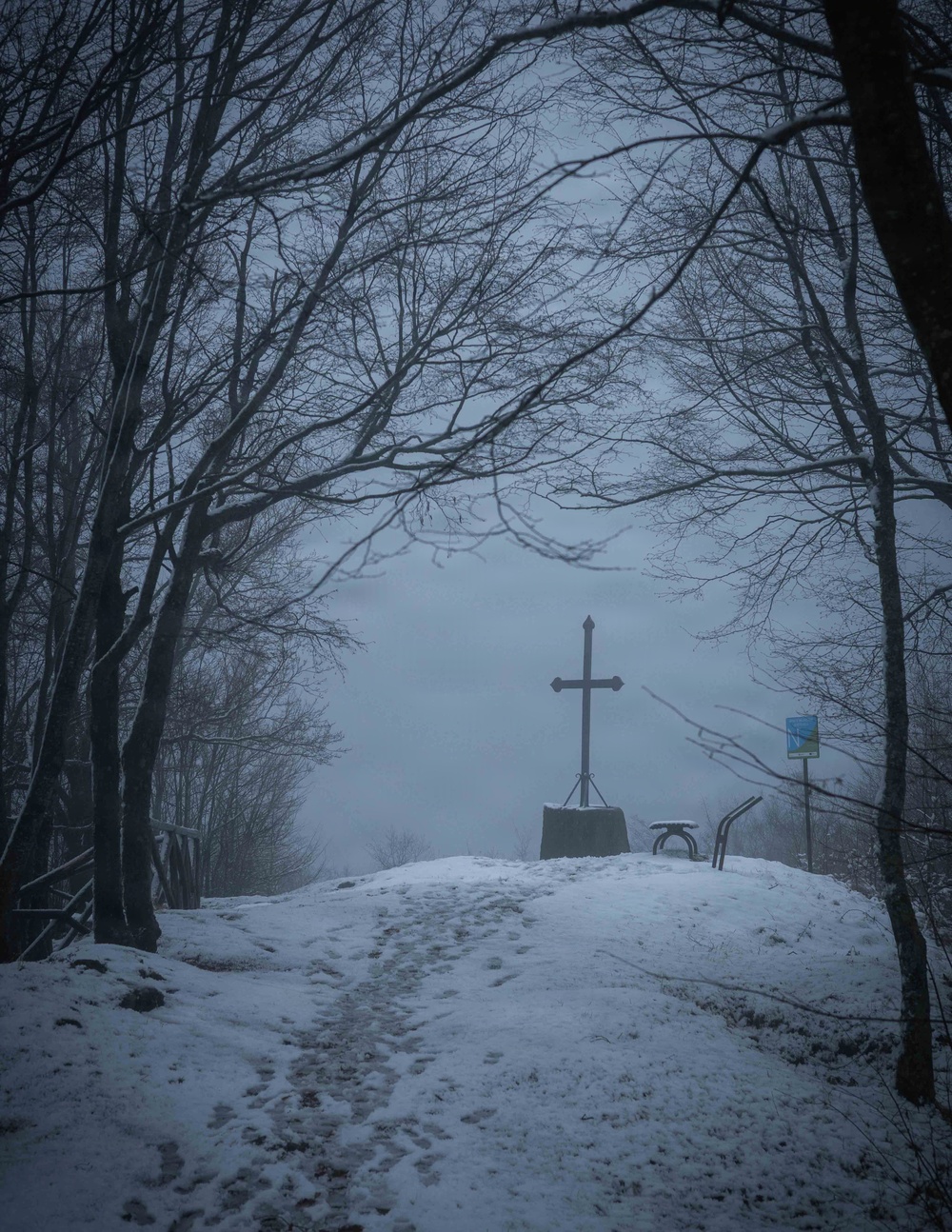10th Mountain Division hike Mt. Belvedere
