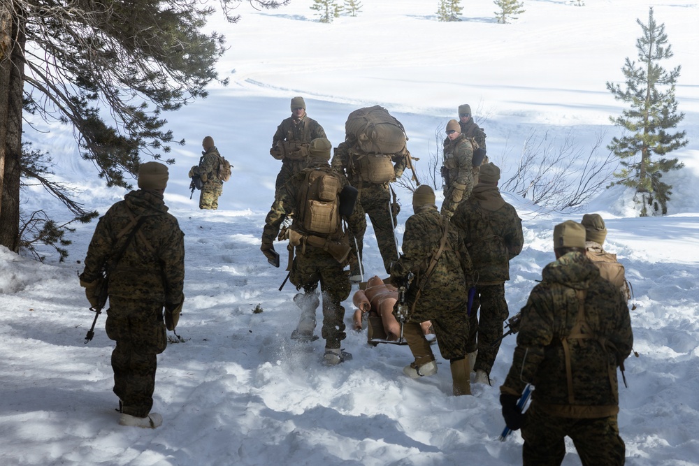 U.S. Marines with 2nd Bn., 4th Marines conduct casualty evacuations during MTX 1-26