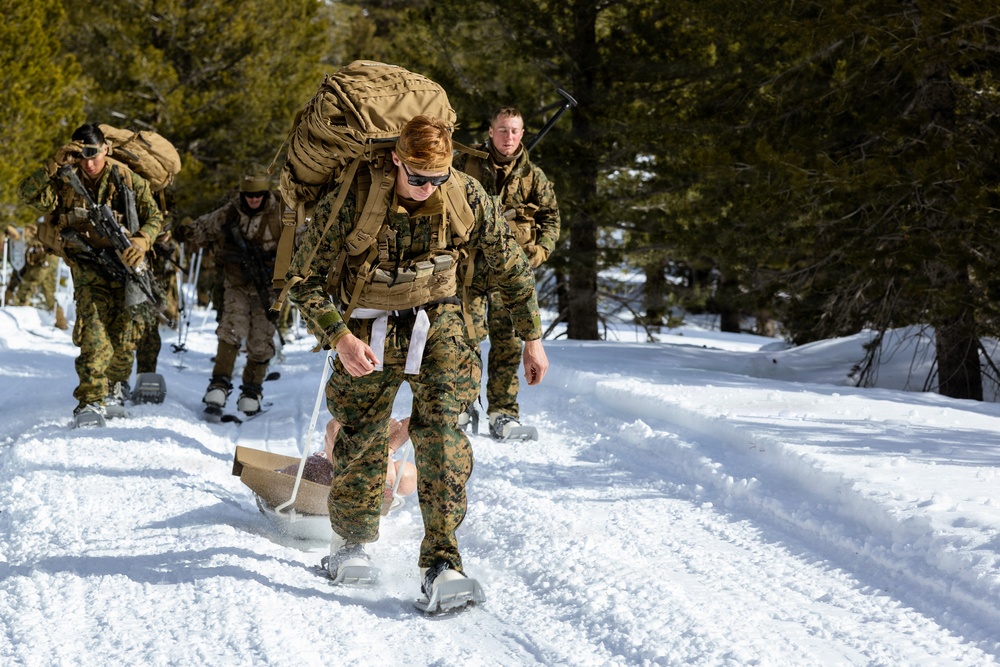 U.S. Marines with 2nd Bn., 4th Marines conduct casualty evacuations during MTX 1-26