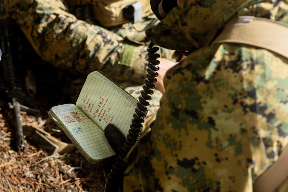 U.S. Marines with 2nd Bn., 4th Marines conduct casualty evacuations during MTX 1-26