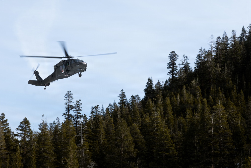 U.S. Marines with 2nd Bn., 4th Marines conduct casualty evacuations during MTX 1-26