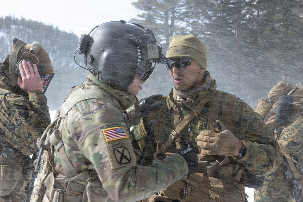 U.S. Marines with 2nd Bn., 4th Marines conduct casualty evacuations during MTX 1-26