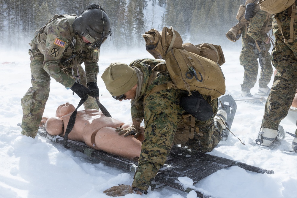 U.S. Marines with 2nd Bn., 4th Marines conduct casualty evacuations during MTX 1-26