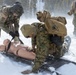 U.S. Marines with 2nd Bn., 4th Marines conduct casualty evacuations during MTX 1-26