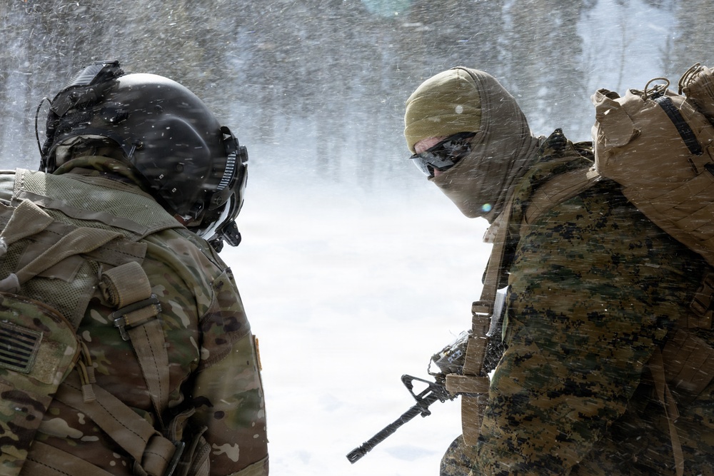 U.S. Marines with 2nd Bn., 4th Marines conduct casualty evacuations during MTX 1-26