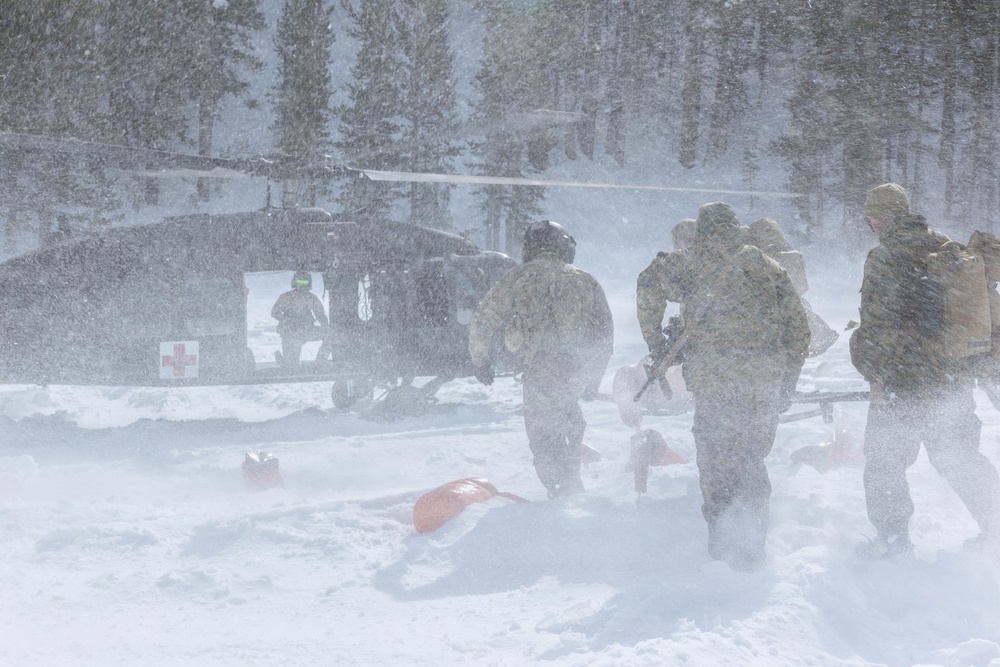 U.S. Marines with 2nd Bn., 4th Marines conduct casualty evacuations during MTX 1-26