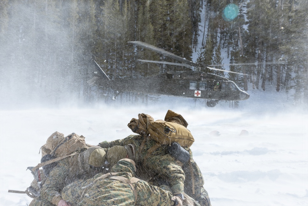 U.S. Marines with 2nd Bn., 4th Marines conduct casualty evacuations during MTX 1-26