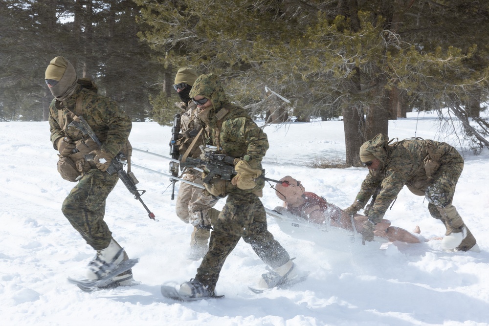 U.S. Marines with 2nd Bn., 4th Marines conduct casualty evacuations during MTX 1-26