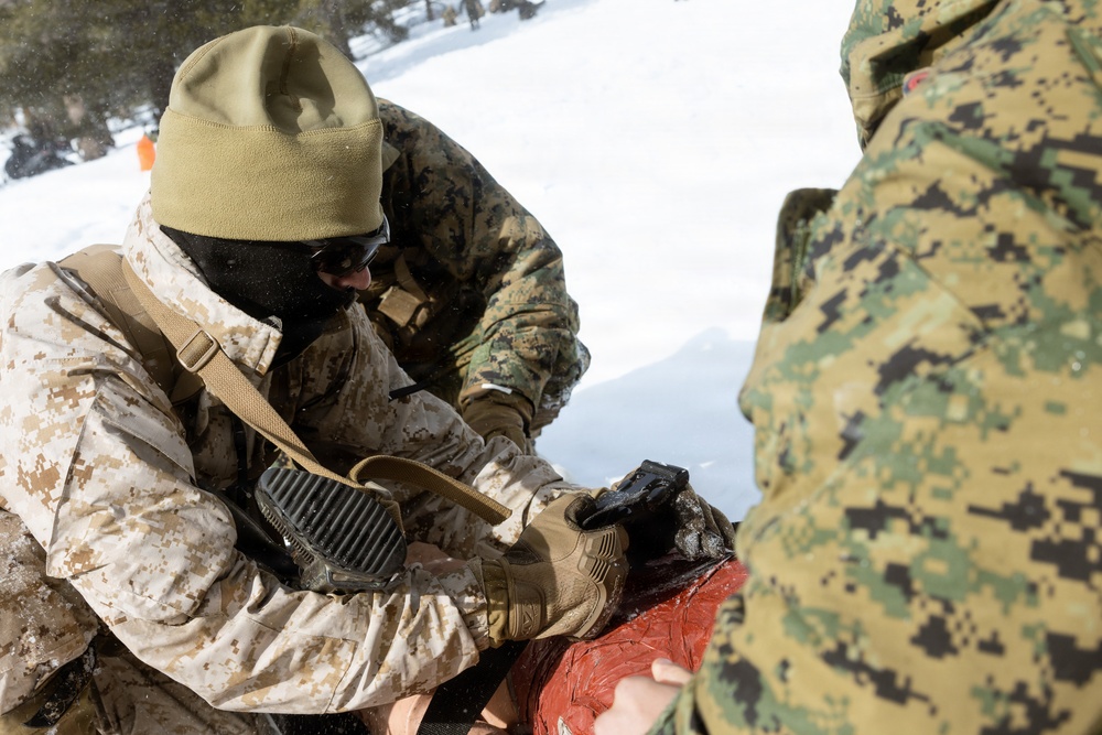 U.S. Marines with 2nd Bn., 4th Marines conduct casualty evacuations during MTX 1-26