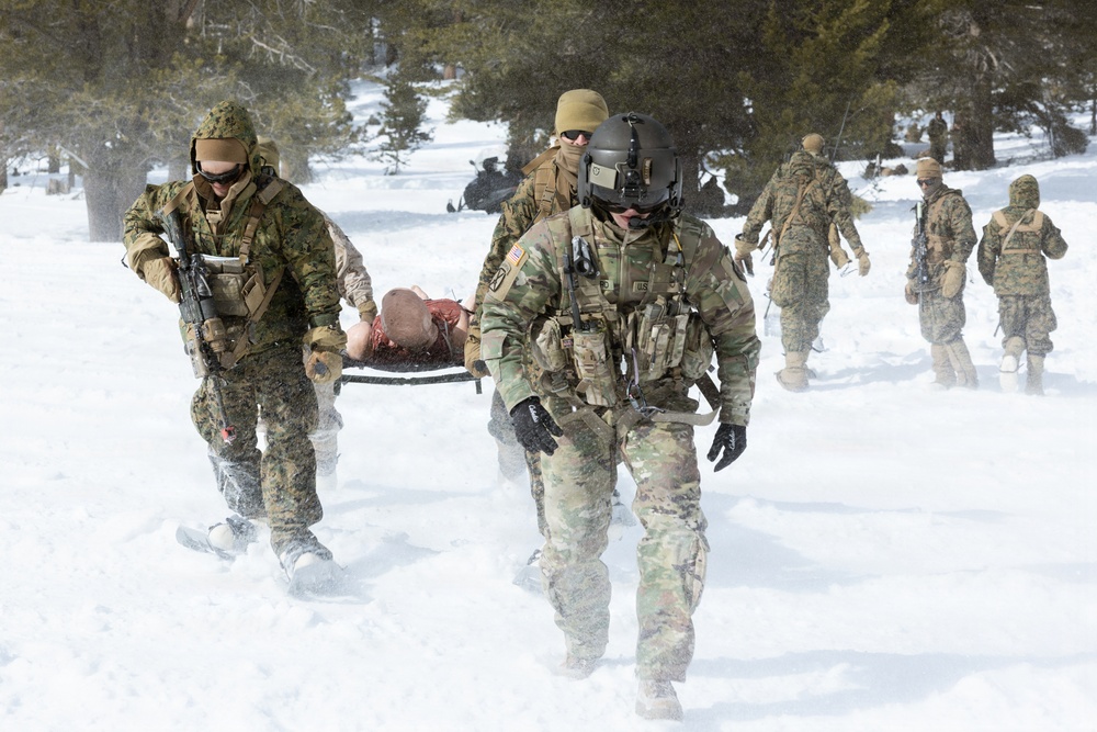 U.S. Marines with 2nd Bn., 4th Marines conduct casualty evacuations during MTX 1-26