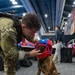 U.S. Coast Guard Maritime Safety and Security Team conduct K-9 sweeps in preparation for the Super Bowl.