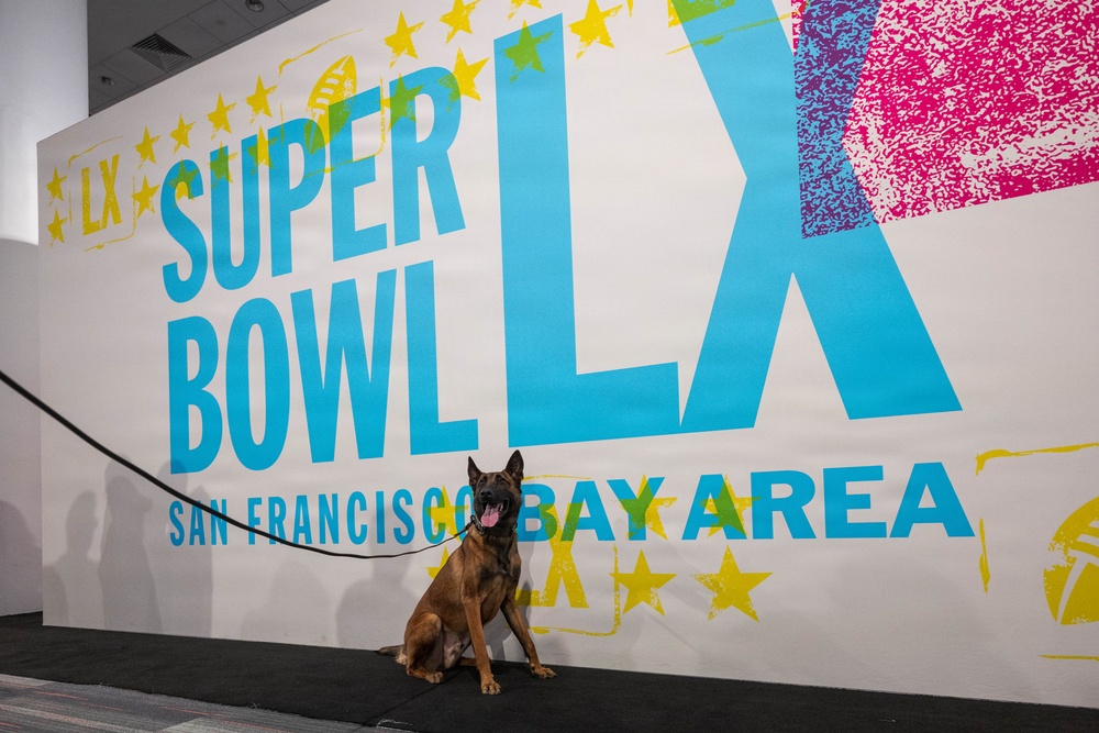 U.S. Coast Guard Maritime Safety and Security Team conduct K-9 sweeps in preparation for the Super Bowl.