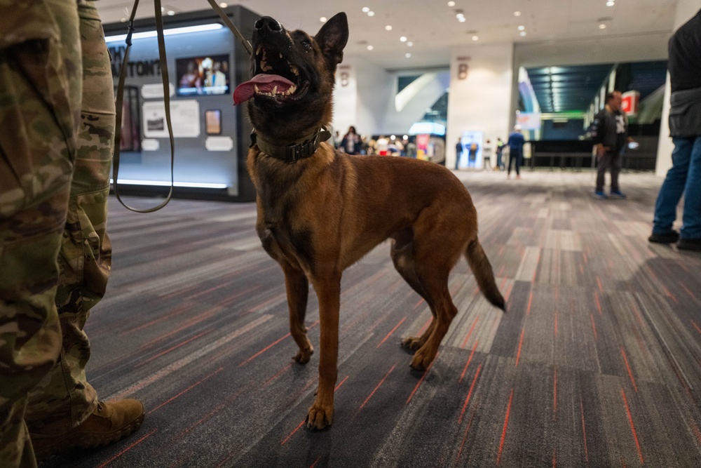 U.S. Coast Guard Maritime Safety and Security Team conduct K-9 sweeps in preparation for the Super Bowl.