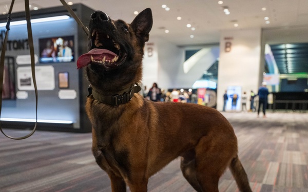 U.S. Coast Guard Maritime Safety and Security Team conduct K-9 sweeps in preparation for the Super Bowl.