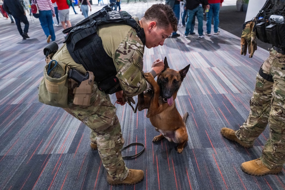 U.S. Coast Guard Maritime Safety and Security Team conduct K-9 sweeps in preparation for the Super Bowl.