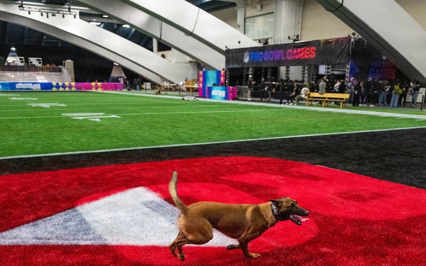 U.S. Coast Guard Maritime Safety and Security Team conduct K-9 sweeps in preparation for the Super Bowl.