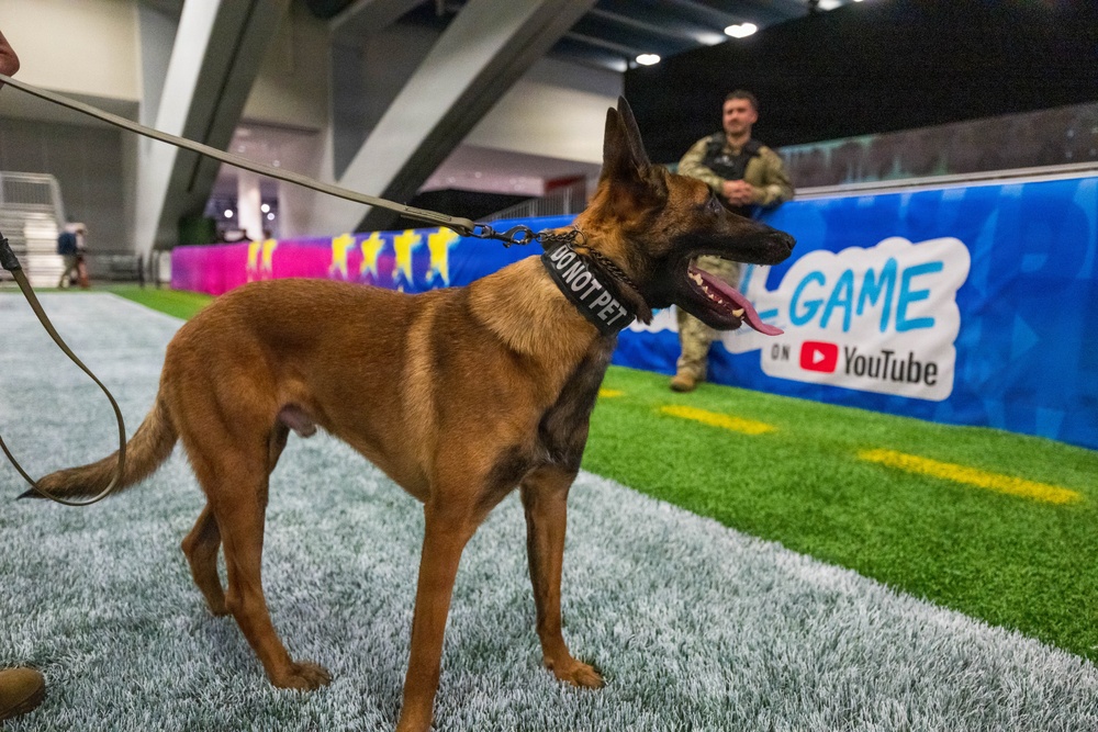 U.S. Coast Guard Maritime Safety and Security Team conduct K-9 sweeps in preparation for the Super Bowl.