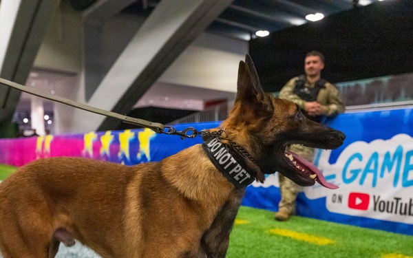 U.S. Coast Guard Maritime Safety and Security Team conduct K-9 sweeps in preparation for the Super Bowl.