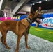 U.S. Coast Guard Maritime Safety and Security Team conduct K-9 sweeps in preparation for the Super Bowl.