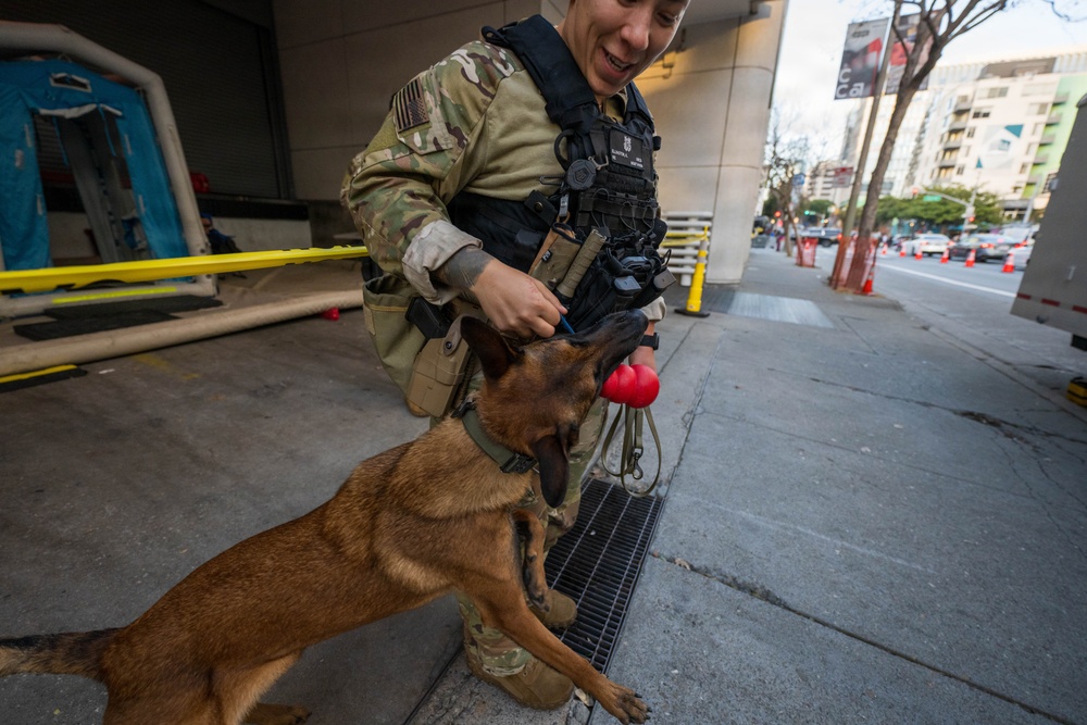 U.S. Coast Guard Maritime Safety and Security Team conduct K-9 sweeps in preparation for the Super Bowl.