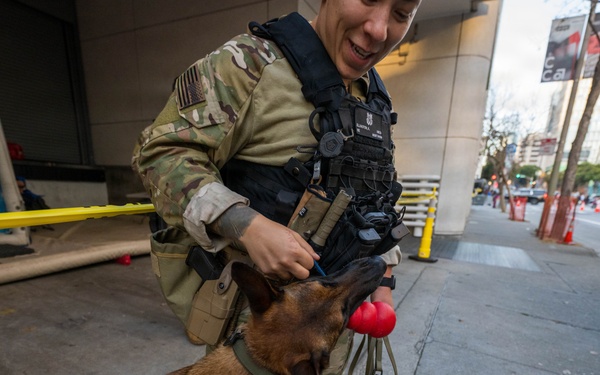 U.S. Coast Guard Maritime Safety and Security Team conduct K-9 sweeps in preparation for the Super Bowl.