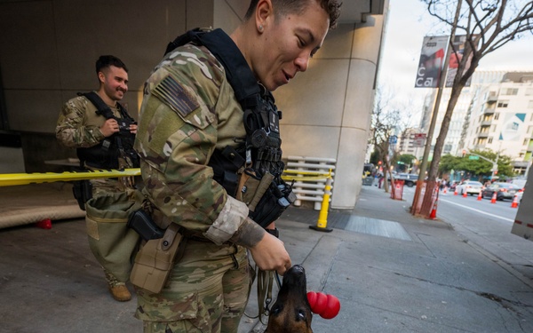U.S. Coast Guard Maritime Safety and Security Team conduct K-9 sweeps in preparation for the Super Bowl.