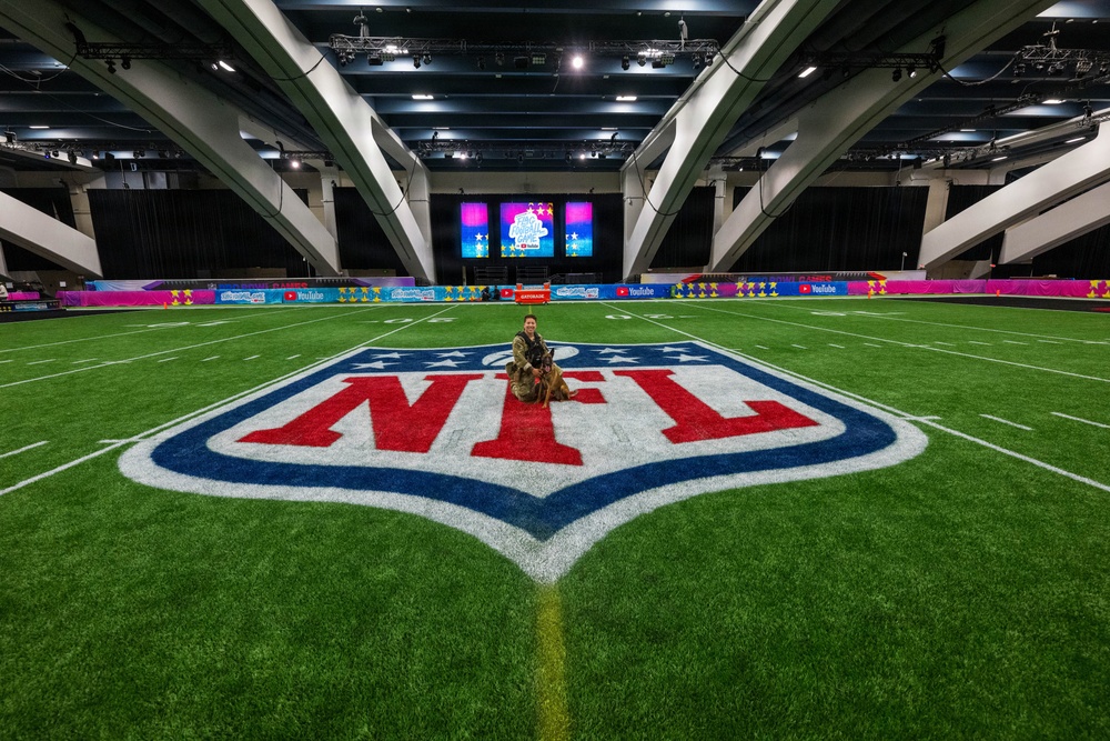 U.S. Coast Guard Maritime Safety and Security Team conduct K-9 sweeps in preparation for the Super Bowl.